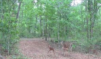 4814 NW 244 Ave, Alachua, FL 32615