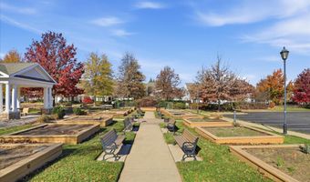 44420 SUNSET MAPLE Dr, Ashburn, VA 20147