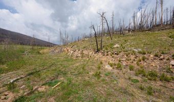 30 Sheep Horn Ct, Bellvue, CO 80512