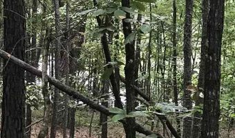 AURORA CIRCLE lot 18, Alpine, AL 35014