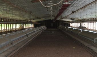 502 Arch Helms Rd, Americus, GA 31719