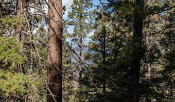 Back Basin Rd lot 145, Angel Fire, NM 87710