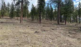 31760 HWY 10 W, Alberton, MT 59820