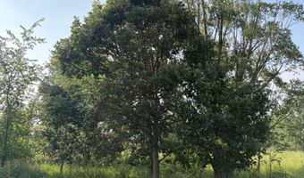 9653 52nd Ave, Allendale, MI 49401