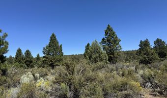 Bufflehead Drive 18, Bonanza, OR 97623