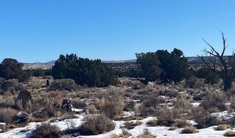 211 Windmill Rnch, Carrizozo, NM 88301