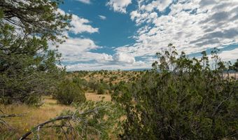 TBD Hwy 246, Capitan, NM 88316