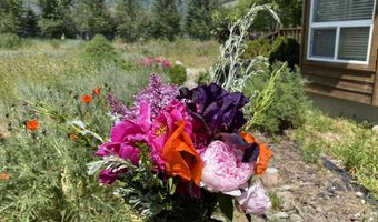 60 BUCKRAIL Ln, Alpine, WY 83128
