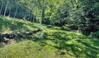 115 Witts Ln, Ancramdale, NY 12503