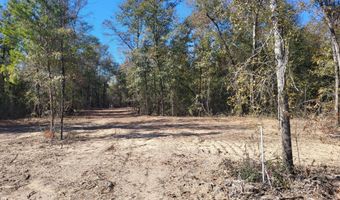 NW Tommy Tucker Road lot 1, Altha, FL 32421