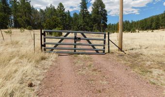 10 N2310, Alpine, AZ 85920