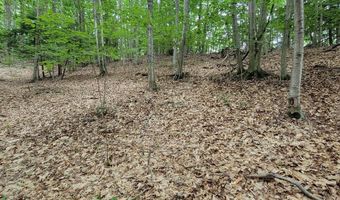 M22 Northwood Hwy, Arcadia, MI 49613