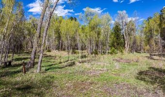 65 Pinestone Dr, Bayfield, CO 81122