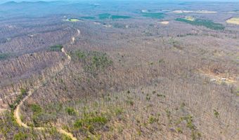 Larkin Mountain, Amherst, VA 24521