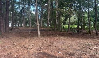 9 Horton Trl, Beaufort, SC 29906