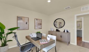 5226 Scrub Mint Ln, Apopka, FL 32712
