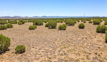 County Road 8643, Concho, AZ 85924