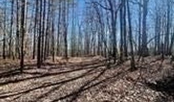 Flint Ridge Road lot 6, Albemarle, NC 28001