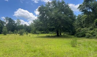 227 County Road 102, Abbeville, AL 36310