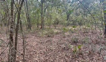 NW 11th Ave, Bell, FL 32619