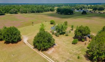 4381 NE 105TH Pl, Anthony, FL 32617