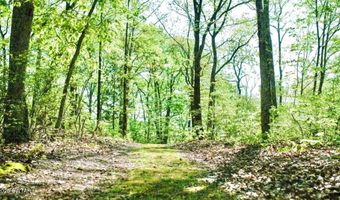 0 Peregrine Rise Dr, Big Sandy, TN 38221