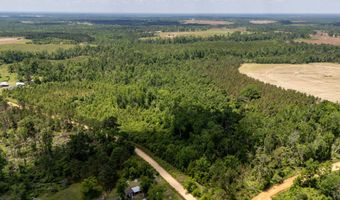 Lot # 1 - 6.2 Ac Perry Horton, Adrian, GA 31002