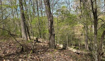 Gladys Road, Altavista, VA 24517