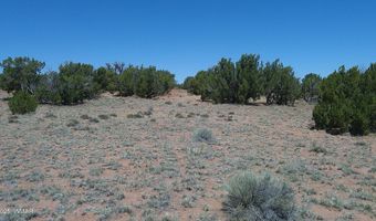 Tbd Rio Ranch, Concho, AZ 85924
