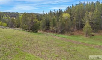 1530 Potpourri Dr, Ashton, ID 83420