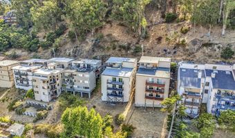 599 Jackson St, Albany, CA 94706