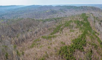 163 Acres Duck Springs Rd, Attalla, AL 35954