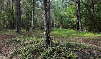 152 Robertson St, Altoona, AL 35952