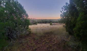 1 COUNTY ROAD N8155, Concho, AZ 85924