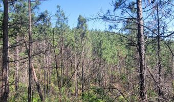 0 CR 77, Ashland, AL 36251