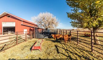 918 ROAD 4990, Bloomfield, NM 87413