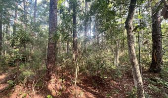 Strawhorn Creek Road lot 2 & 3, Aurora, NC 27806