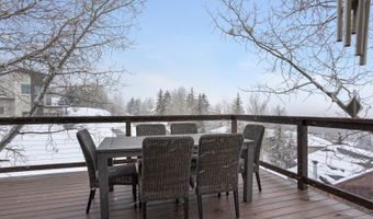 225 Daisy Ln A, Avon, CO 81620