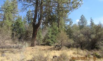 Brown Bear Lane lot 12W2, Bonanza, OR 97623