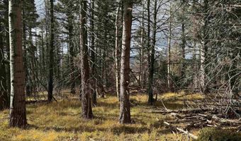 1335 Skyview Way, Angel Fire, NM 87710