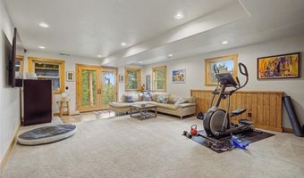 62 Lazy Rex Rd, Alma, CO 80440