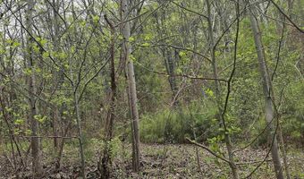 52179 Norman Ave, Attalla, AL 35954