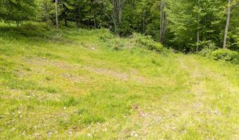 1361 Weaver Hollow Rd, Andes, NY 13731