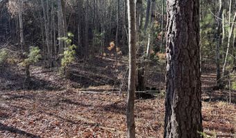 MOUNTAIN CUT RD lot B, Appomattox, VA 24522