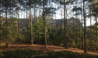 3423 Lathenview Ct, Alpharetta, GA 30004