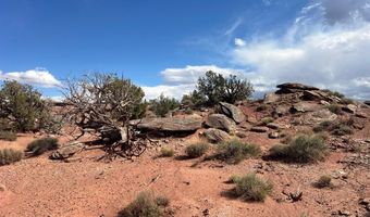 51 N9087, Concho, AZ 85924