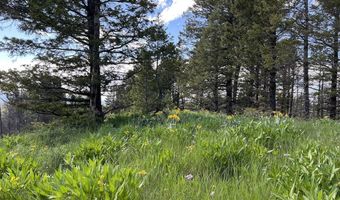 Tbd Nwne DEER HAVEN Road, Bondurant, WY 82922