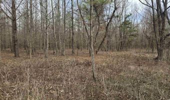 Williams Road, Bald Knob, AR 72010