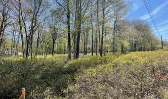 Forest Hill Drive, Blakeslee, PA 18610
