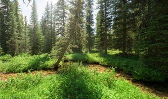 441 Red Lion Rd, Anaconda, MT 59711